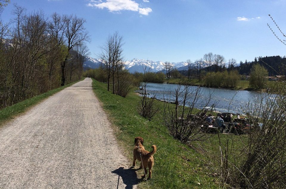 Campingplatz Alpsee